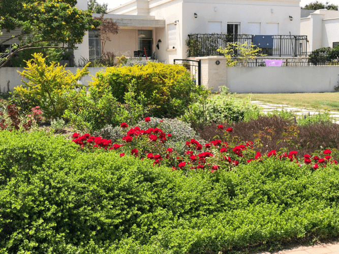 עיצוב גינה 1